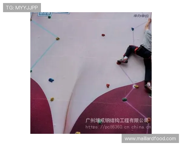 上海极限运动队在世界攀岩锦标赛中的成长与奋斗历程揭秘