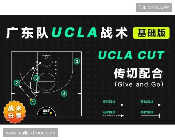 上海篮球队的战术控制与球队发展深度解析