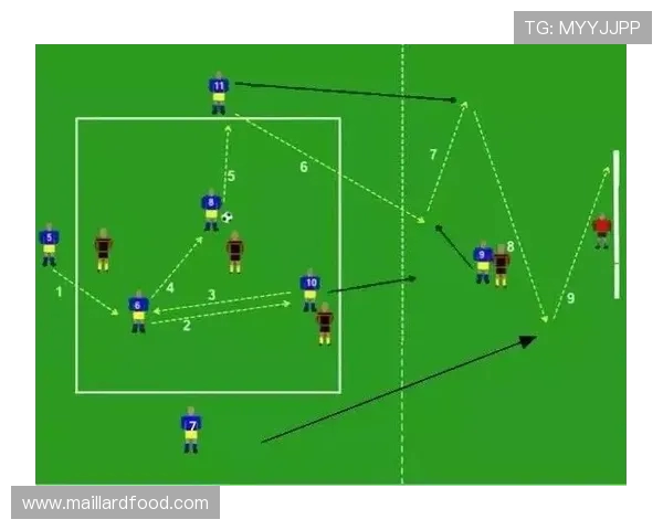 上海足球队战术解析：从进攻到防守的全面探讨与实践