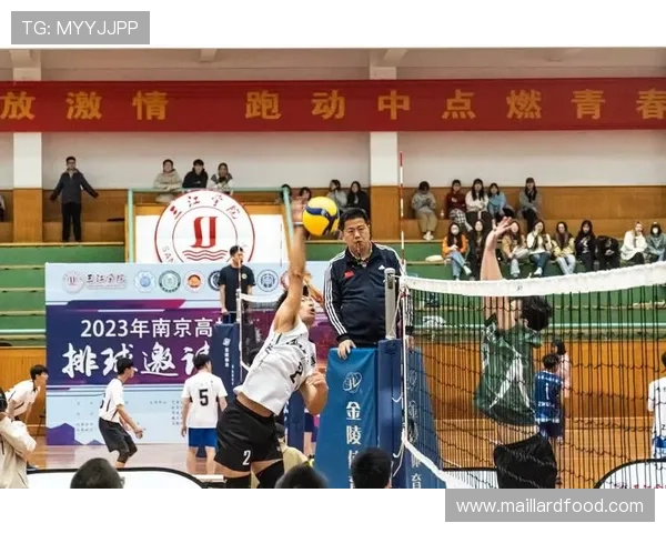 北京排球队在全国排球团队协作排名中创新高展现团队精神与实力