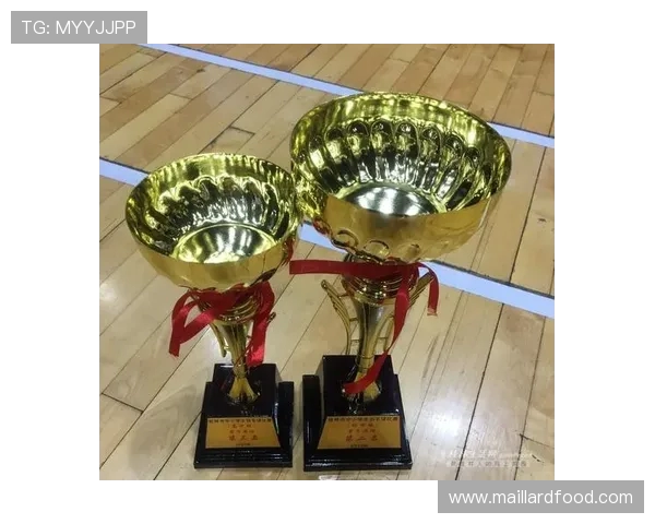 北京羽毛球队近期状态分析与未来发展展望