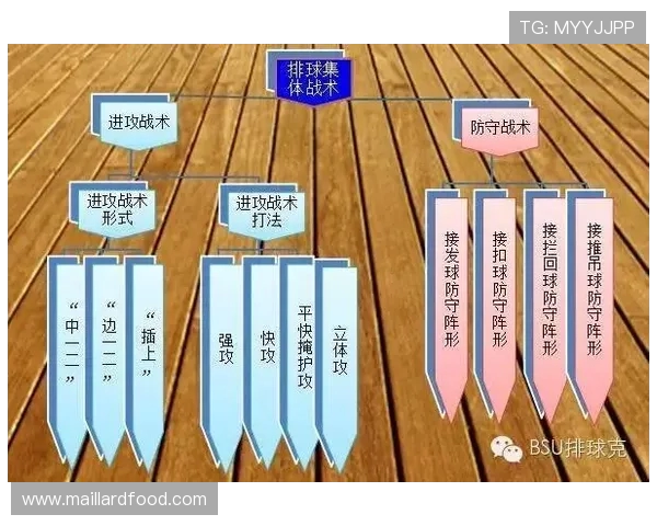 南京排球队在精英赛中的灵活性表现分析与战术探讨