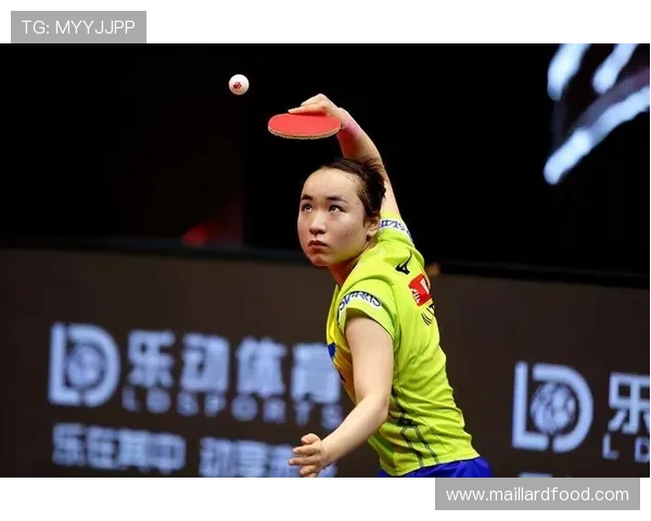 南京乒乓球队进攻战术解析与未来发展趋势探讨