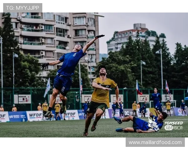 南京飞盘队实力飙升创历史新高引领全国飞盘力量排名新格局