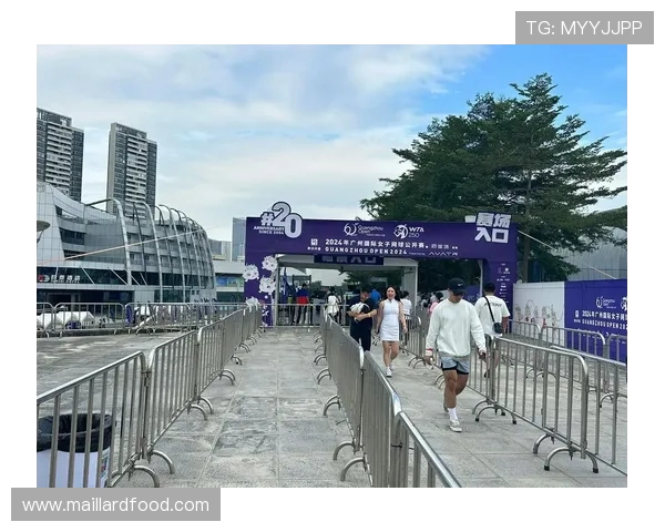 广州网球队逆袭之路：从默默无闻到全国瞩目的辉煌历程