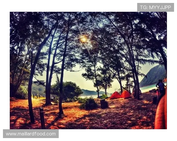 张芳的极限运动人生探索与挑战的深度对话之旅