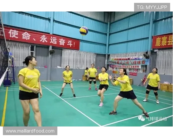 成都排球队在全国锦标赛中的心理素质分析与表现评估