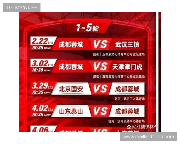 成都网球队防守体系解析与战术运用探讨