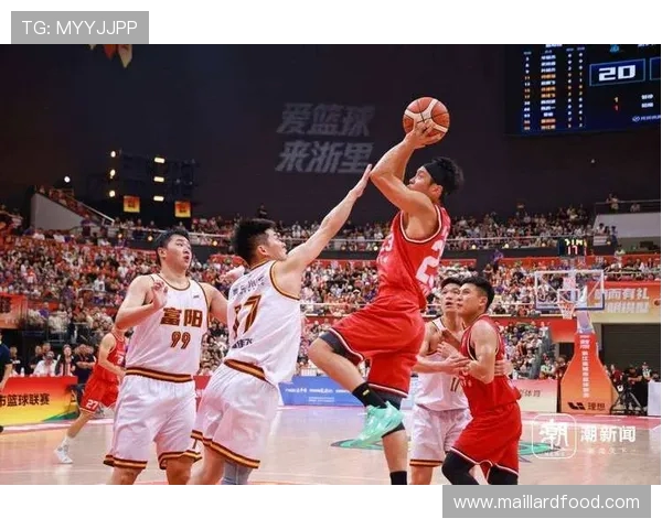 杭州篮球队灵活性分析及其对比赛表现的影响研究