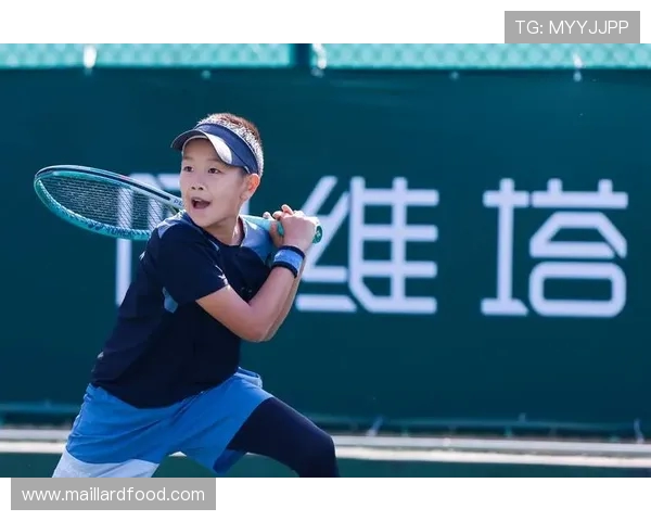 杭州网球队的转型之路揭秘精英赛背后的奋斗与成长故事