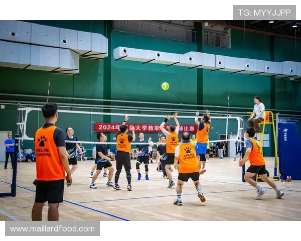 武汉排球队在总决赛中的力量展现与战术分析