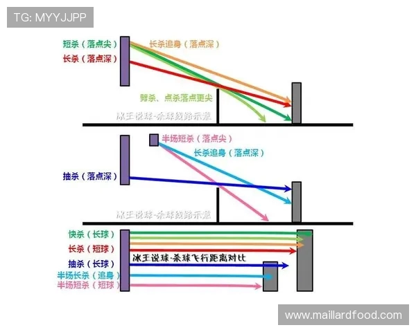 深入分析北京篮球队独特的节奏打法与战术特点