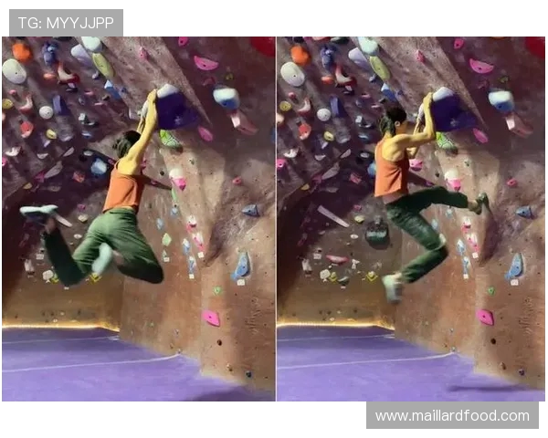 深圳攀岩队耐力对比深度分析与训练方法探讨