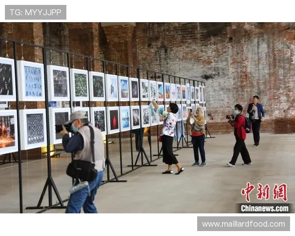 西安网球队实力分析与发展潜力探讨聚焦网球运动的未来前景