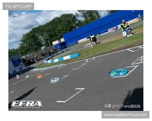 2000年欧锦赛经典对决荷兰队与意大利队的巅峰对抗回顾 2000年欧锦赛经典对决荷兰队与意大利队的巅峰对抗回顾