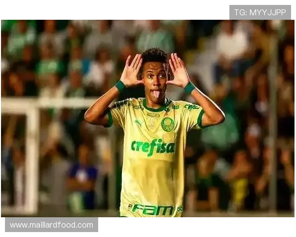 内马尔的足球传奇：从巴西小子到全球超级巨星的成长之路