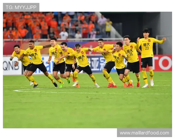 博塔菲戈与麦德林国民的激烈对决展现足球魅力与战术智慧 博塔菲戈与麦德林国民的激烈对决展现足球魅力与战术智慧