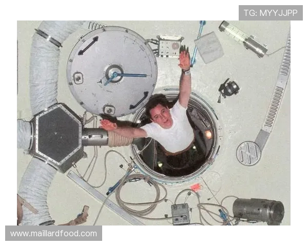 探索索博斯洛伊的历史与文化魅力,揭示其在现代社会中的重要性与影响力 探索索博斯洛伊的历史与文化魅力,揭示其在现代社会中的重要性与影响力