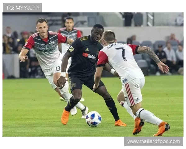 明尼苏达与华盛顿的精彩对决分析与赛后点评