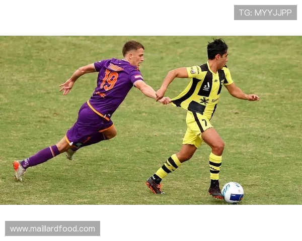 桑德尼斯与汉坎的精彩对决揭示了足球战术的博弈与球员的激情表现 桑德尼斯与汉坎的精彩对决揭示了足球战术的博弈与球员的激情表现