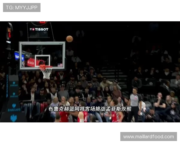 篮网与灰熊精彩对决中文回放全程回顾与分析