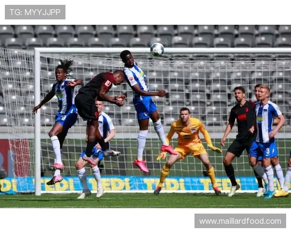 阿贾克斯与沃尔夫激战正酣谁能在欧战中笑到最后 阿贾克斯与沃尔夫激战正酣谁能在欧战中笑到最后