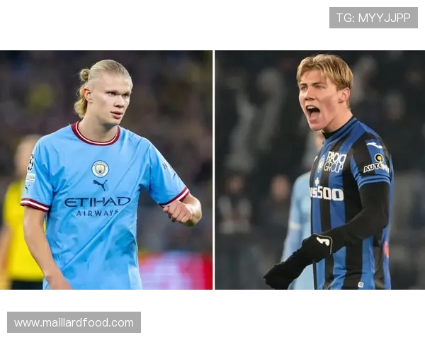 霍伊伦的传奇人生与时代变迁中的不屈精神探讨