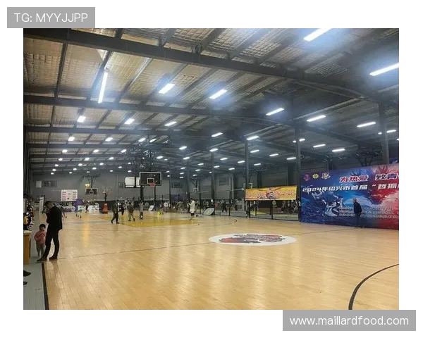 马尚与辽宁的精彩对决集锦回顾赛场瞬间尽显篮球魅力与激情