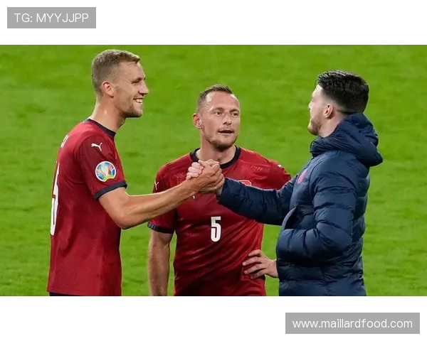 马耳他与法罗群岛的足球较量谁能笑到最后分析与预测