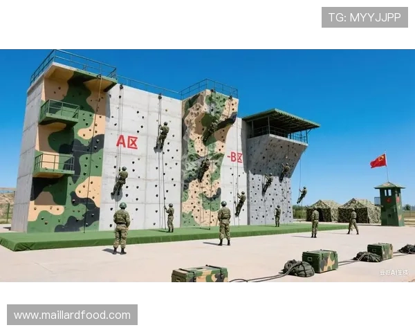 南京攀岩队的战术控制体系与攀岩技巧的深度融合探讨