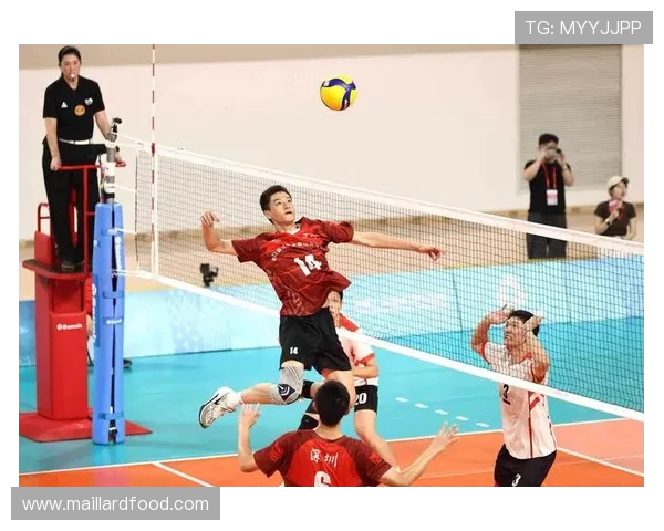 排球盛宴：深入分析西安排球队的战术配合与团队协作技巧