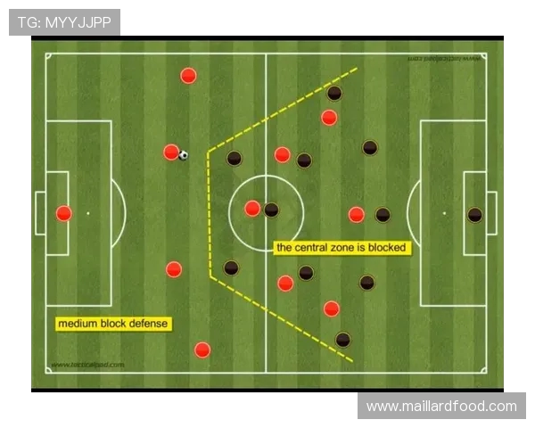 武汉羽毛球队反击战术深度解析与实战应用探讨