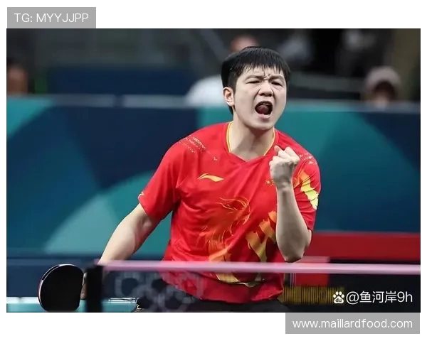 深圳乒乓球队逆袭之路：从困境中崛起的反击策略解析