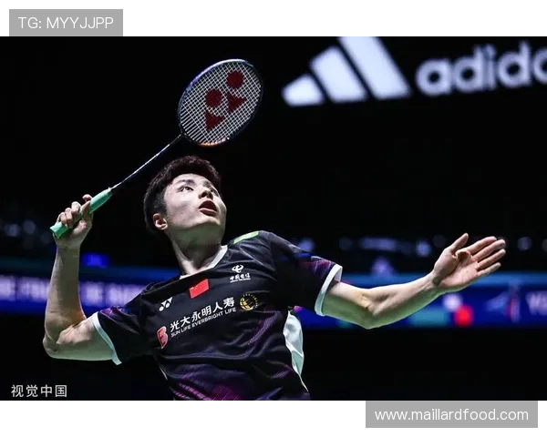 深入分析杭州羽毛球队的运营策略与发展模式