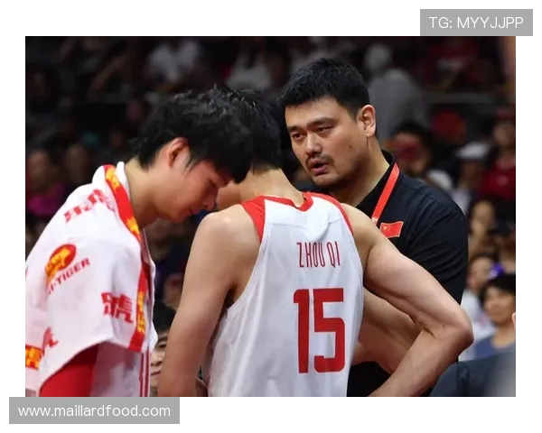 深圳篮球队在世界杯中的精彩表现与实力分析 深圳篮球队在世界杯中的精彩表现与实力分析