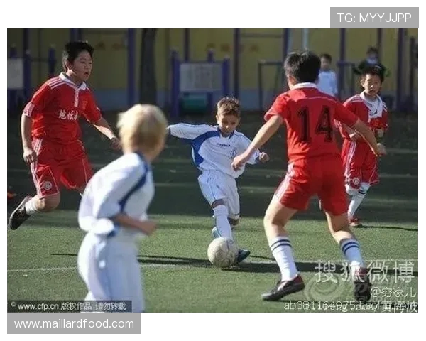 北京网球队的力量揭秘：从训练到比赛的全景探索与背后故事