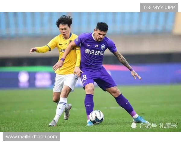 北京飞盘队防守反击战术分析与比赛表现评估