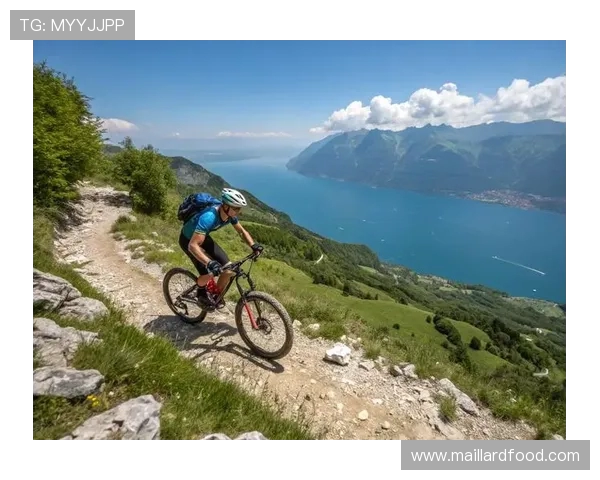 南京极限运动队在世界攀岩锦标赛中以71分稳居积分榜首位