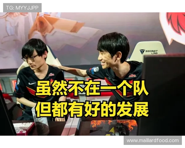 国际邀请赛分析：FPX在技术层面的精彩表现与未来展望