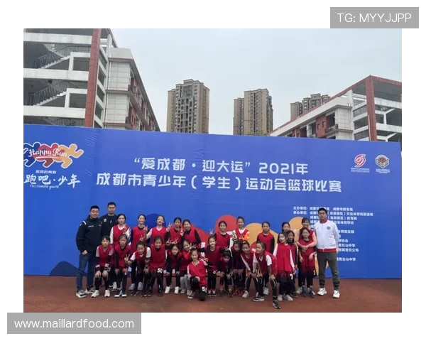 成都篮球队的控制策略与发展前景深度解析