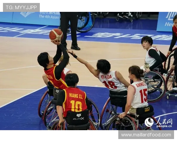 杭州乒乓球队的拼搏历程与欧锦赛荣耀之路的特别报道